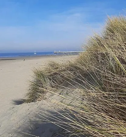 Maison Fleur アパート *